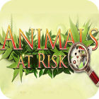 Animals At Risk spil