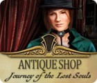 Antique Shop: Journey of the Lost Souls spil