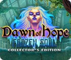 Dawn of Hope: The Frozen Soul Collector's Edition spil