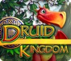 Druid Kingdom spil
