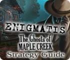 Enigmatis: The Ghosts of Maple Creek Strategy Guide spil