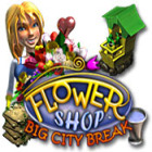 Flower Shop: Big City Break spil