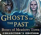 Ghosts of the Past: Bones of Meadows Town Collector's Edition spil