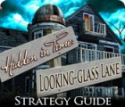 Hidden in Time: Looking-glass Lane Strategy Guide spil