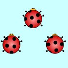 Ladybug Pair Up spil
