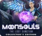 Moonsouls: The Lost Sanctum Collector's Edition spil