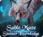 Sable Maze: Sinister Knowledge Collector's Edition spil