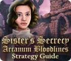 Sister's Secrecy: Arcanum Bloodlines Strategy Guide spil