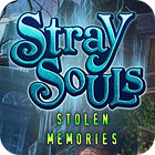 Stray Souls: Stolen Memories spil
