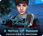 The Andersen Accounts: A Voice of Reason Collector's Edition spil