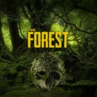 The Forest spil