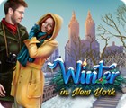 Winter in New York spil