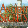 Ancient Secrets: Mystery of the Vanishing Bride spil