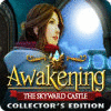 Awakening: The Skyward Castle Collector's Edition spil