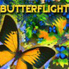 Butterflight spil