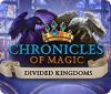 Chronicles of Magic: The Divided Kingdoms spil