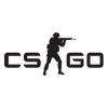 Counter-Strike: Global Offensive spil