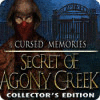 Cursed Memories: The Secret of Agony Creek Collector's Edition spil