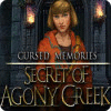 Cursed Memories: The Secret of Agony Creek spil