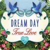 Dream Day True Love spil