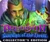Dreampath: Guardian of the Forest Collector's Edition spil