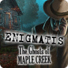 Enigmatis: The Ghosts of Maple Creek spil
