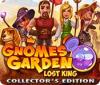 Gnomes Garden: Lost King Collector's Edition spil