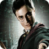 Harry Potter: Fight the Death Eaters spil