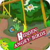 Hidden Angry Birds spil
