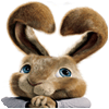 Hop: Easter Bunny Coloring spil