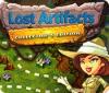 Lost Artifacts Collector's Edition spil