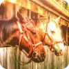 Mysteries Of Old Stable spil