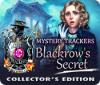 Mystery Trackers: Blackrow's Secret Collector's Edition spil