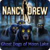 Nancy Drew: Ghost Dogs of Moon Lake spil