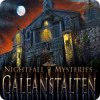 Nightfall Mysteries: Galeanstalten spil