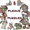 Plexus Puzzles spil