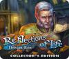 Reflections of Life: Dream Box Collector's Edition spil