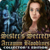 Sister's Secrecy: Arcanum Bloodlines Collector's Edition spil