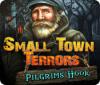 Small Town Terrors: Pilgrim's Hook spil
