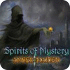 Spirits of Mystery: Amber Maiden Collector's Edition spil