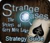 Strange Cases: The Secrets of Grey Mist Lake Strategy Guide spil