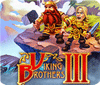 Viking Brothers 3 Collector's Edition spil