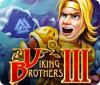 Viking Brothers 3 spil