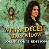Web of Deceit: Black Widow Collector's Edition spil