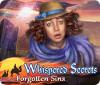 Whispered Secrets: Forgotten Sins spil