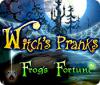 Witch's Pranks: Frog's Fortune spil