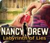 Nancy Drew: Labyrinth of Lies game